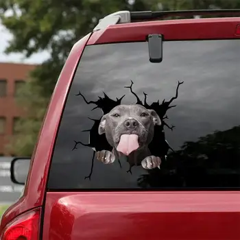3D מכונית מדבקות מציאותי שבור בולדוג כלבים תמונות חיות מדבקות חלון זכוכית קירות, מראות, דלתות מצחיק קישוט אביזרים