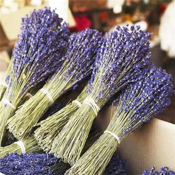טבעי אמיתי פרחים מיובשים של לבנדר צרפתי לבנדר מיובשים זר פרחים לקישוט הבית עיצוב חתונה DIY נרות עובש שרף אפוקסי