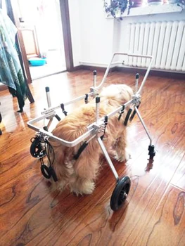 הכלב גלגלים שיתוק הכלב גלגלים כלי רכב חשמלי לנכים ארבע על ארבע כלב גלגלים
