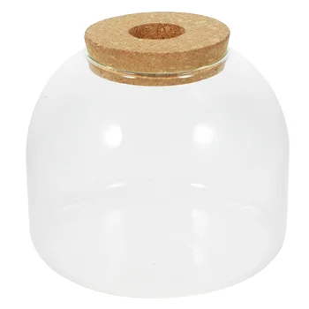 פקק בקבוק זכוכית נקי אגרטל מיקרו נוף צנצנת קטנה אקווריום חממה אקולוגית מוס