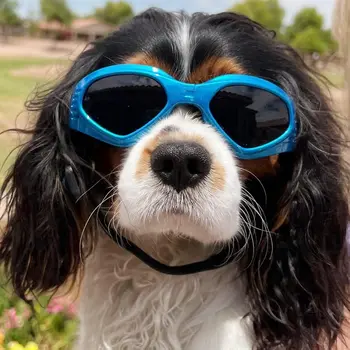 הכלב משקפי מגן בינוני הגנת UV מתכוונן בוסטון טרייר משקפי שמש ללבוש קל אופנוע משקפיים קטנים ובינוניים כלבלב